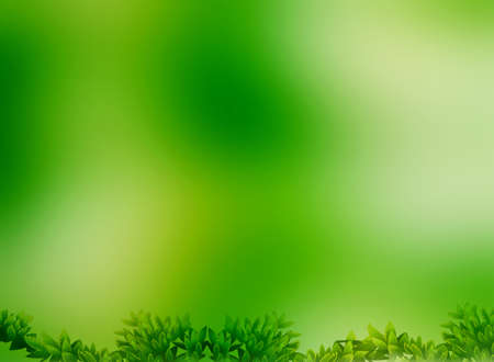 green  color wallpaper, background for web, graphic design and photo albumの写真素材