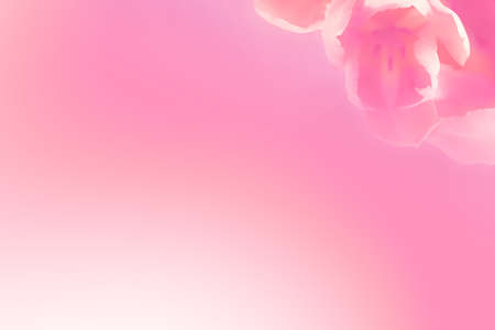 color wallpaper, background for web, graphic design and photo album