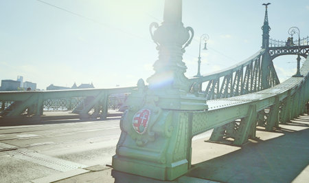 Liberty Bridge in Budapest, Hungary. Filtered image processed vintage effect.の写真素材
