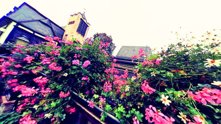 flowers on the roof of an old house in the old townの写真素材