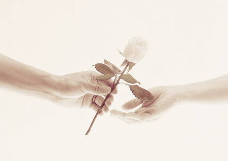 Man giving a rose to a womana toned imageの写真素材
