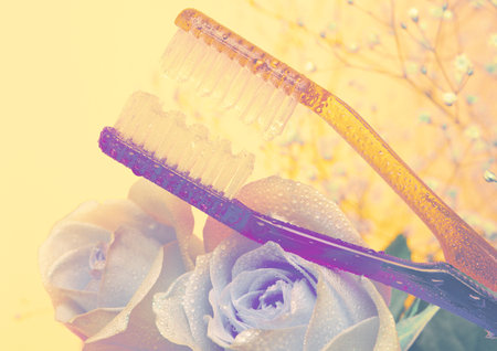 toothbrush with toothpaste and flower - vintage effect style picturesの写真素材