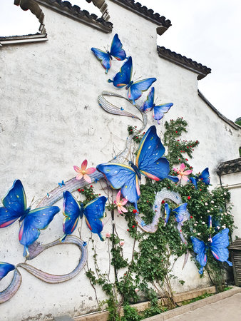 A vibrant butterfly wall mural with blue butterflies and flowers decorates an old white wall near traditional Chinese architectureの写真素材