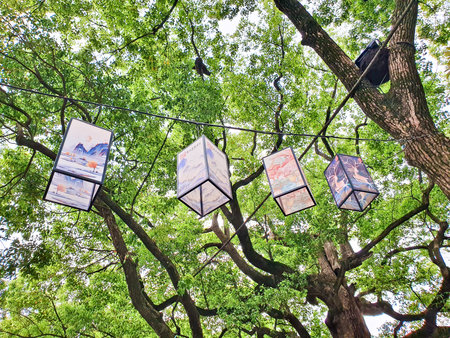 Colorful lanterns with traditional artwork hang between trees in a serene forest setting, creating a...
