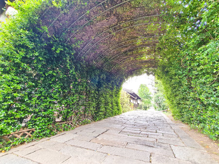 A stone pathway winds through a serene alley, flanked by traditional wooden buildings and shaded by lush green treesの写真素材