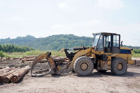 Timber yard
