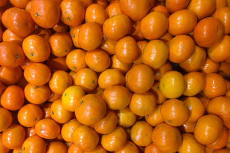 Orangesの写真素材