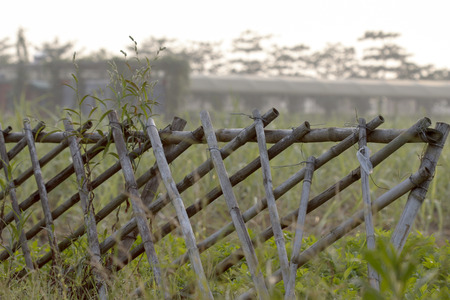 Bamboo fenceの写真素材
