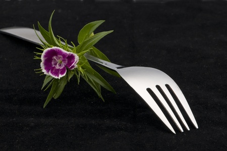 fork in black background with flowerの写真素材