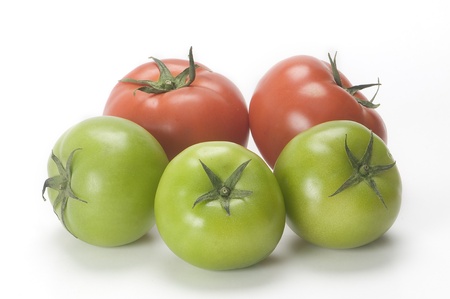 red tomatoes and green on whiteの写真素材