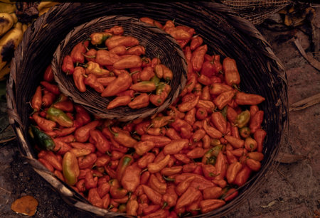 Red hot chili peppers in a basket on the street market in Indiaの写真素材