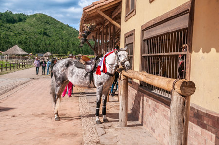Horse harnessed to a wooden horse in the villageのeditorial素材