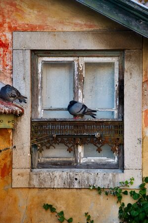 Typical old window with two sleepy pigeons in Sintra Village, Portugalの写真素材
