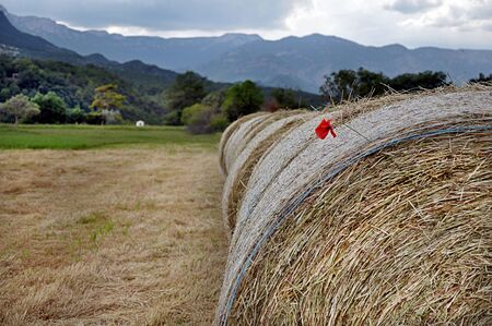 round bales of hay on a background of mountainsの写真素材