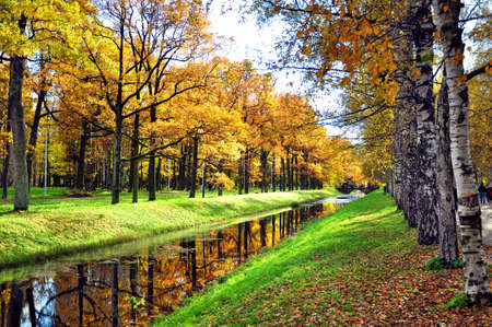Autumn in the parkの写真素材