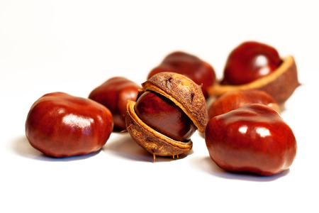 brown chestnuts on white の写真素材