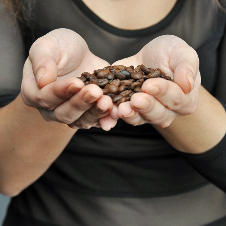 white girl hands holding coffee beansの写真素材