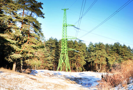 green electric pole near the winter forest