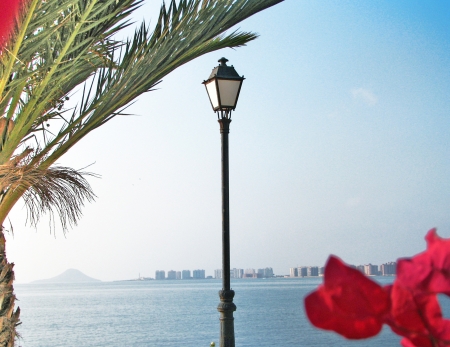 Marine landscape with palm treesの写真素材