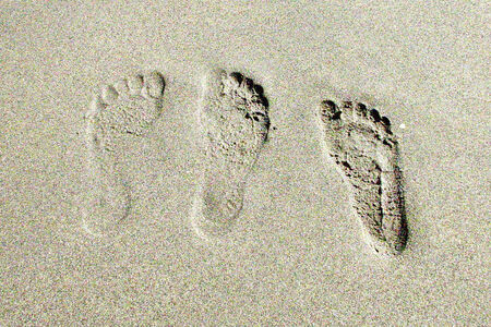 three prints in the sandの写真素材
