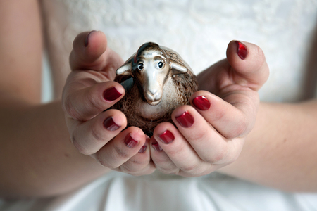 symbol of the year, a goat, in the hands of a young girlの写真素材
