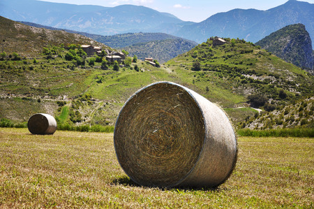 Straw balesの写真素材