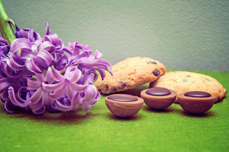 composition hyacinth, cookies, candy