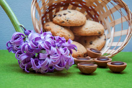 hyacinth, cookies, candy and wicker basket on a green backgroundの写真素材