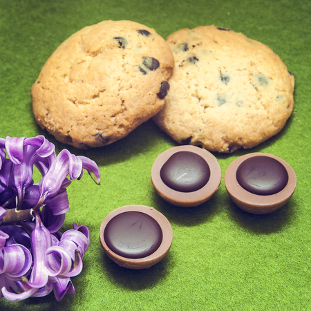 composition hyacinth, cookies, candy
