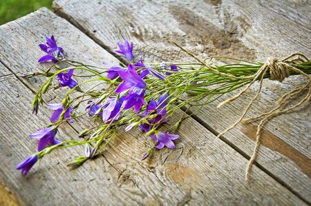 beautiful wild flowers on wooden backgroundの写真素材