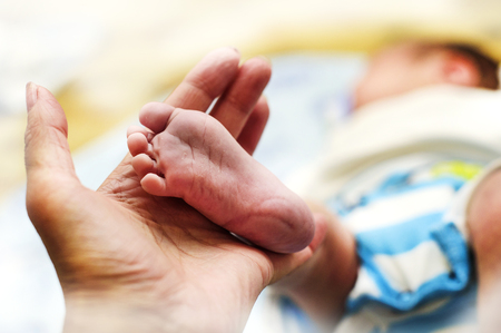small leg of the newborn child in the hands of his motherの写真素材