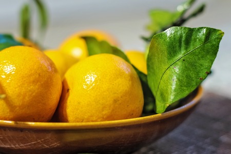 Tangerines (oranges, tangerines, clementines, citrus) with leaves in a ceramic plateの写真素材