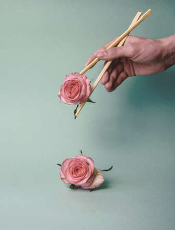 Pink rose flowers in young hands with sticks in pastel colors. A minimal concept of nature. Advertising idea.の写真素材