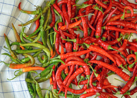 Background with bitter pepper. Colorful pods of bitter pepper. Chili pepper. Agricultural background...