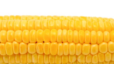 Fresh corn isolated on a white background