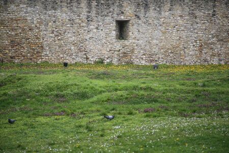 Old big stone wall and window with green grass