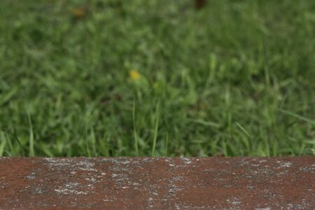 Clay cement texture with green lawn on blurry background.