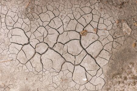Dry waterhole remains forming abstract shapesの写真素材