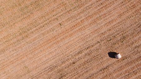 Aerial view of a rural field with large straw balls at sunset. Location of Campos, Island of...