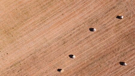 Aerial view of a rural field with large straw balls at sunset. Location of Campos, Island of Majorca, Spainの写真素材