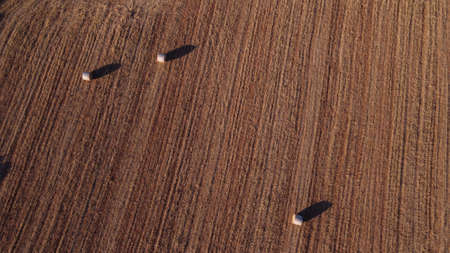 Aerial view of a rural field with large straw balls at sunset. Location of Campos, Island of...