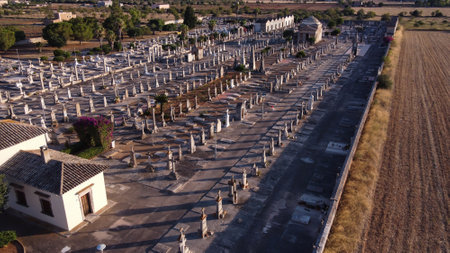 Aerial view of a cementery with cross sculptures, at sunset. Island of Mallorca, Spainのeditorial素材