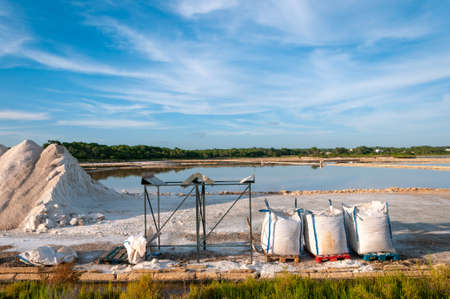 Salt mountain in the pond of the salt factory in Colonia de Sant Jordi at sunset, Island of Mallorca, Spainの写真素材