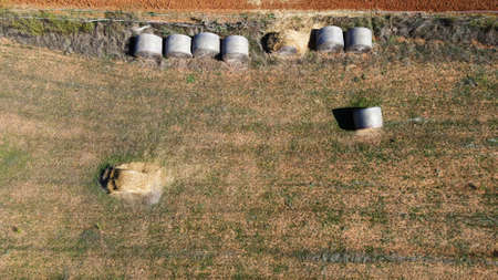 Aerial view of a rural field with large straw balls at sunset. Location of Campos, Island of Mallorca, Spainの写真素材