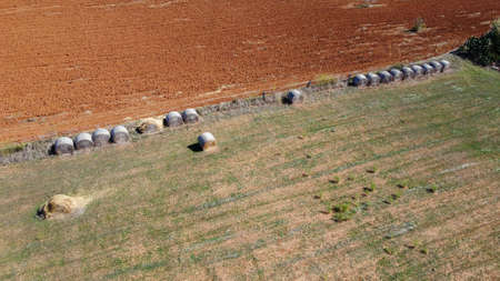 Aerial view of a rural field with large straw balls at sunset. Location of Campos, Island of Mallorca, Spainの写真素材