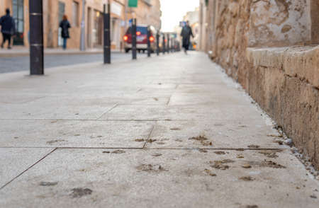 Close-up of pigeon droppings in an urban street with people and vehicles running out of focus. Island of Mallorca, Spainの写真素材