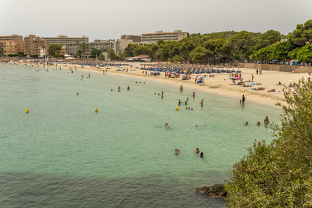 Palmanova, Spain; July 10 2021: Aerial and general view of the beach of the tourist resort of Palmanova on the island of Mallorca, a very hot summer morningのeditorial素材