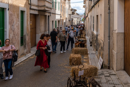 Porreres, Spain; October 31 2021: Annual autumn fair in the Majorcan town of Porreres, held on October 31. Rustic tools for working in the field, exhibited in the street from the island of Mallorcaのeditorial素材