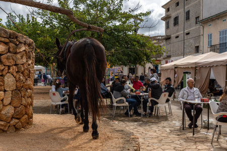 Porreres, Spain; October 31 2021: Annual autumn fair in the Majorcan town of Porreres, held on...