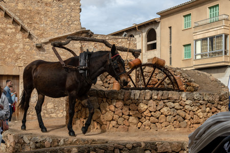 Porreres, Spain; October 31 2021: Annual autumn fair in the Majorcan town of Porreres, held on October 31. Horse working in an old water mill next to a cafeteria terrace with customersのeditorial素材